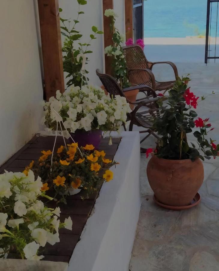 Grand Boutique Studios Afissos Exterior foto